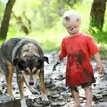 Rote Sau *