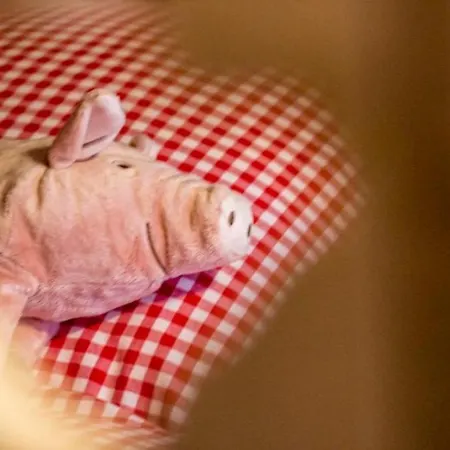 Rote Sau Herrentierbach