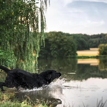 Rote Sau Feriehus Herrentierbach