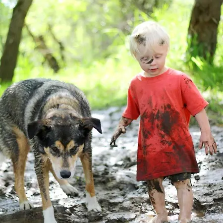 Rote Sau *
